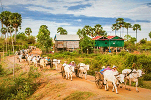 Top Places to Visit in Cambodia 21 Days Tours